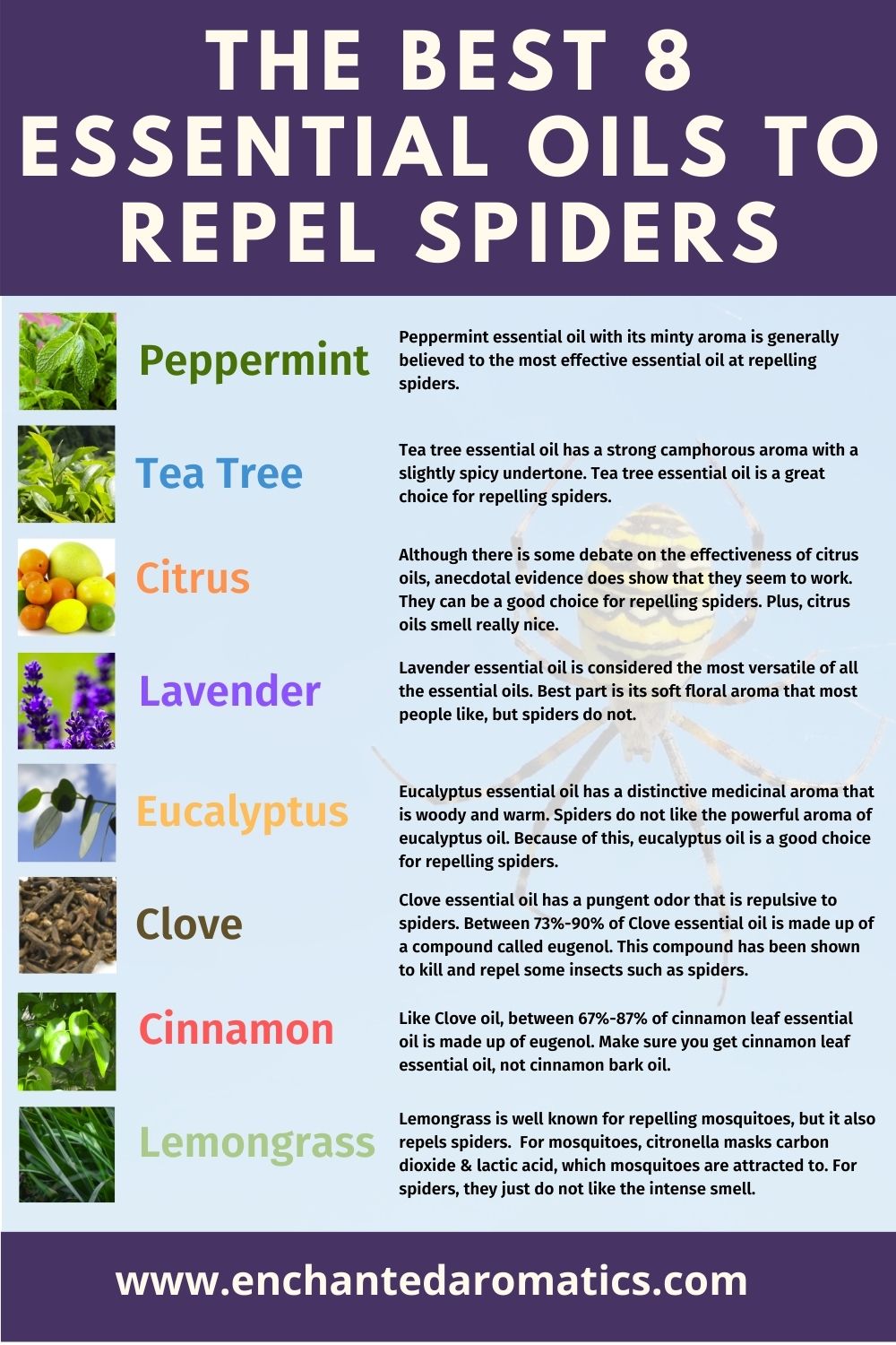 The Best 8 Essential Oils To Repel Spiders Enchanted Aromatics