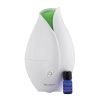 Sparoom TulipMist Diffuser with essenitial oil bottle.