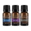 Sparoom Organic Everyday essential oils blend 3 pack bottles