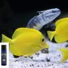 Essential oils safe for fish - fish swimming with essential oils in the foreground