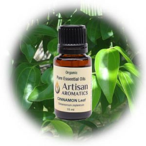 Cinnamon leaf essential oil by Artisan Aromatics with a cinnamon leaf background
