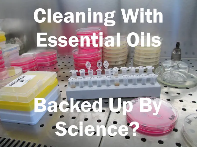 Cleaning with essential oils - backed up by science. Picture of petri dishes and test tubes