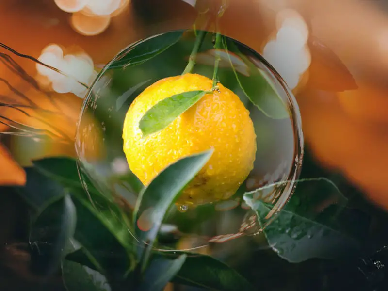 Magical properties of lemons