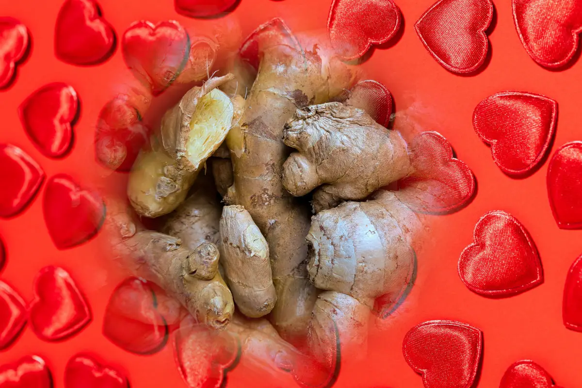 Ginger in love spells - pile of ginger roots surrounding by a background of red hearts