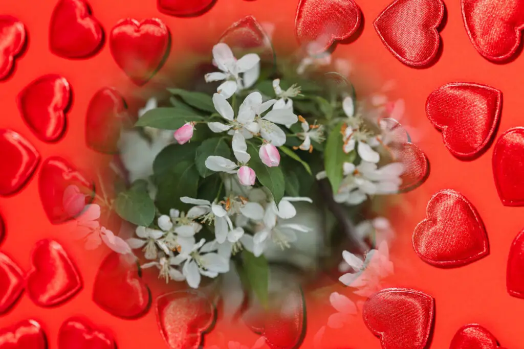 Jasmine in love spells - jasmine leaves and flowers on a background of red hearts