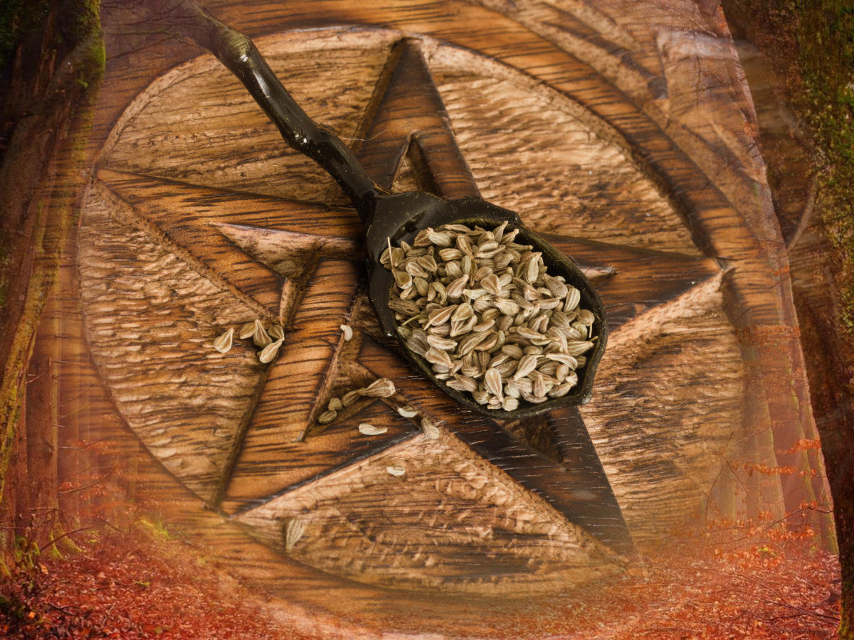 7 Magical Properties Of Anise - anise seeds in a spoon on a carved wooden pentacle