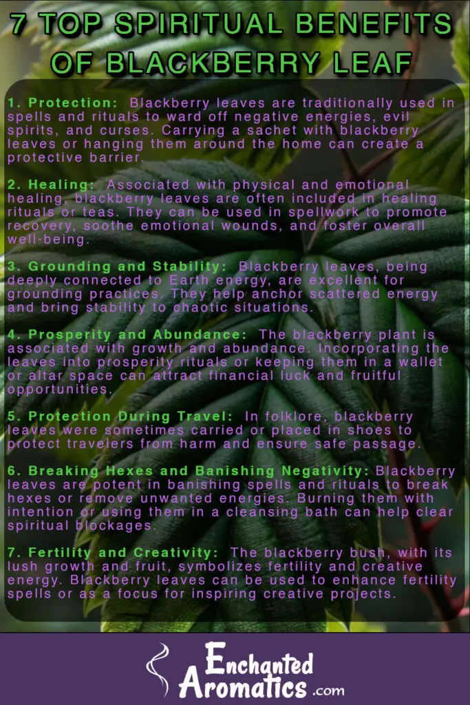 List of the top 7 spiritual properties of blackberry leaf