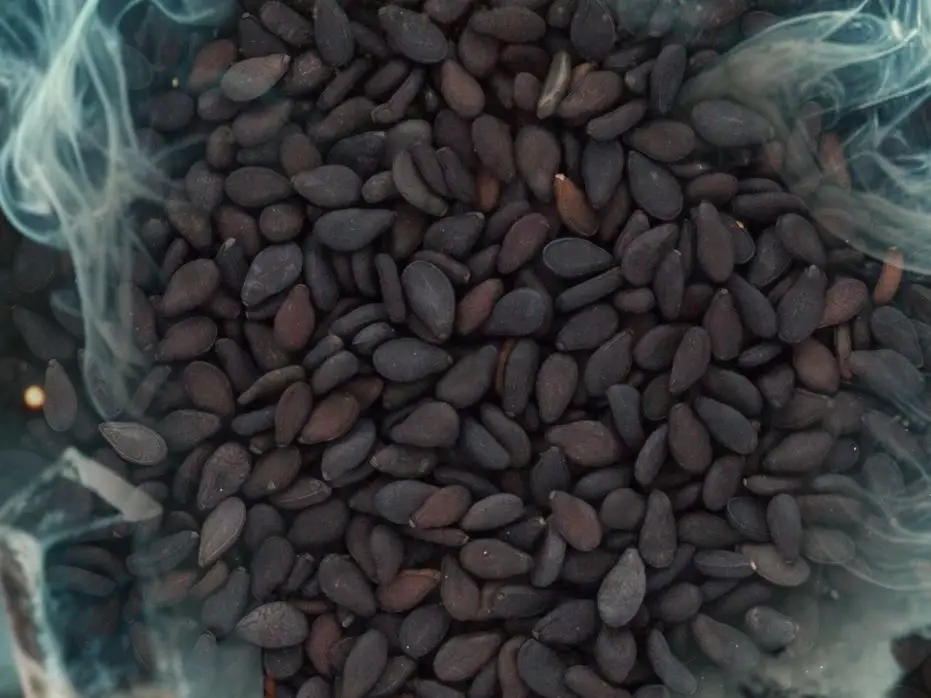 Magical properties of black sesame seeds