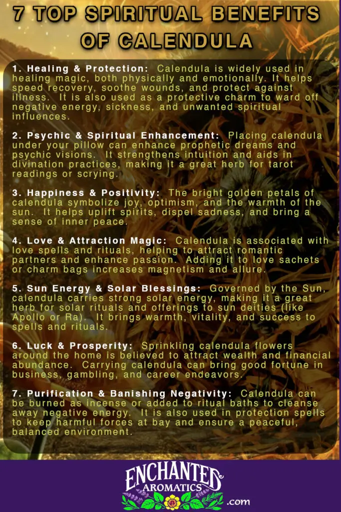 A list of the top 7 magical and spiritual properties of calendula