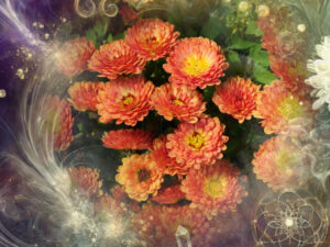 Orange chrysanthemums with a colorful and magical background of purple and yellow swirls