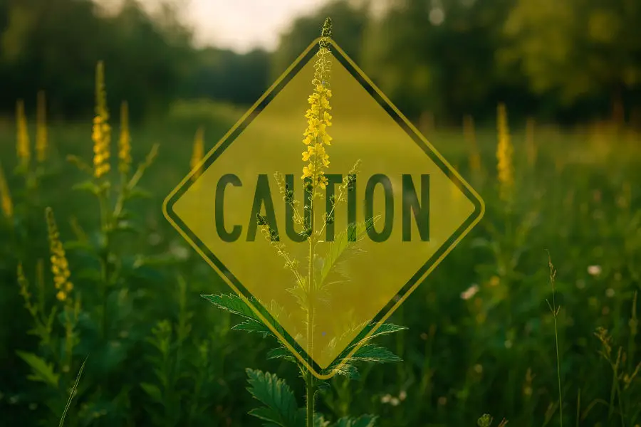 agrimony with a caution sign