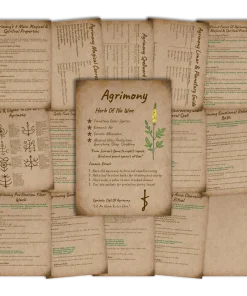 Agrimony grimoire book of shadows