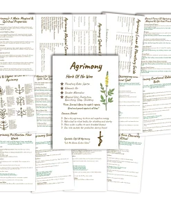 Agrimony grimoire on plain background