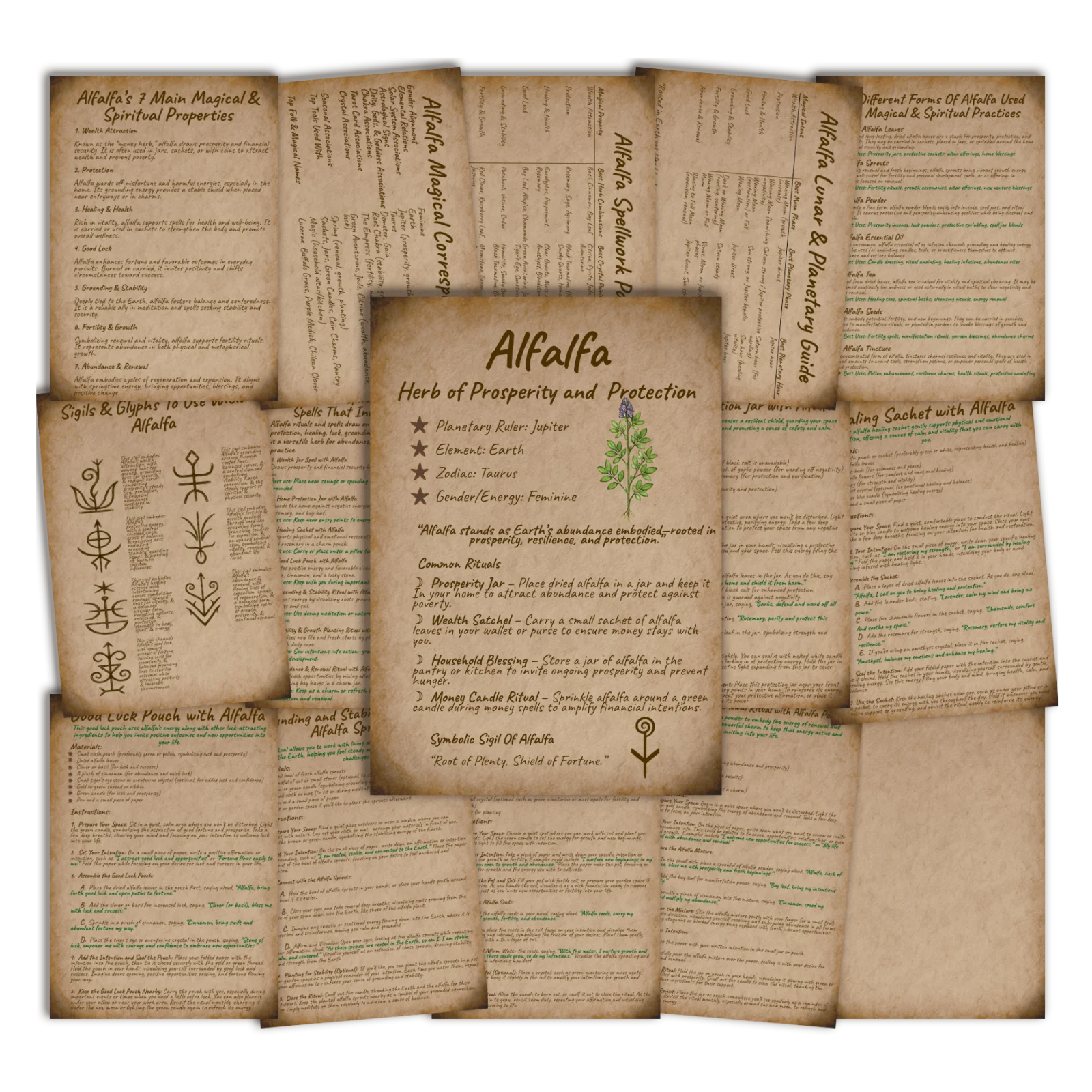 Alfalfa Printable Grimoire • A5 Herbal Magic Pages (16-Page Set) 2 Alfalfa grimoire - book of shadows with 16 mages