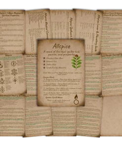 Allspice grimoire and book of shadows pages with parchment