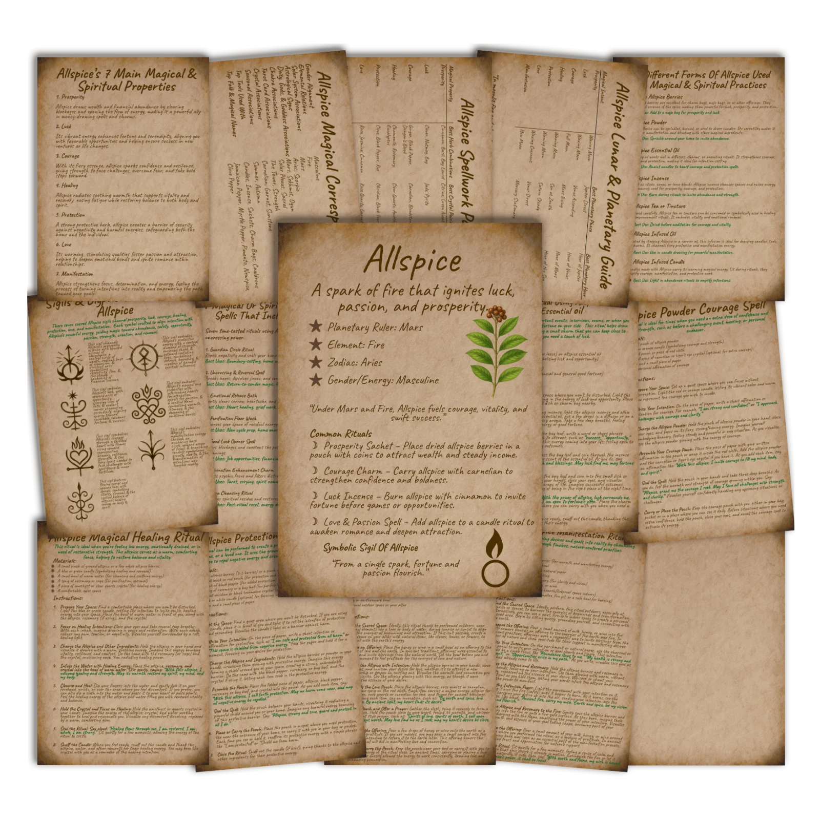 Allspice Grimoire • Printable A5 Herbal Magic Pages (16-Page Set) 3 Allspice grimoire and book of shadows pages with parchment