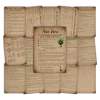 Aloe Vera Grimoire • Printable A5 Herbal Magic Pages (16-Page Set) 1