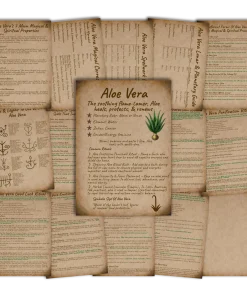 Aloe Vera Grimoire • Printable A5 Herbal Magic Pages (16-Page Set)