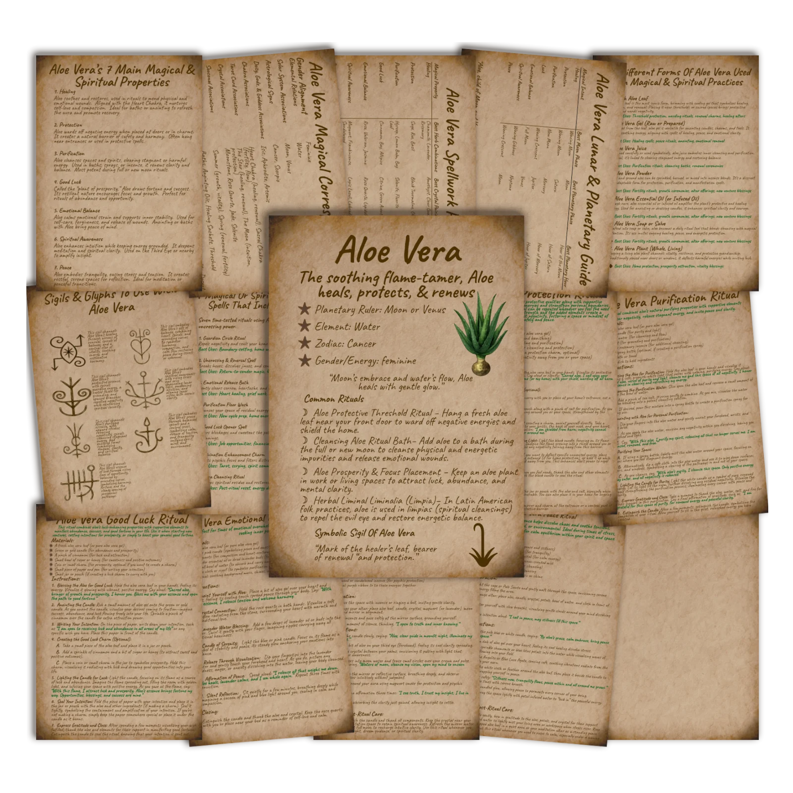 Aloe Vera Grimoire • Printable A5 Herbal Magic Pages (16-Page Set) 3 Aloe Vera Grimoire • Printable A5 Herbal Magic Pages (16-Page Set)