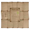 Angelica Root Grimoire • Printable A5 Herbal Magic Pages (16-Page Set) 1 16 page angelica root Grimoire and Book of Shadows with a parchment background for healing, protection, purification, intuition, and peaceful magical practice.
