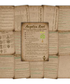 16 page angelica root Grimoire and Book of Shadows with a parchment background for healing, protection, purification, intuition, and peaceful magical practice.