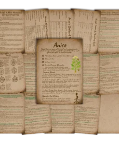 Anise grimoire & book of shadows showing all parchment-style pages arranged together, featuring magical properties, correspondences, sigils, rituals, and spell guides.