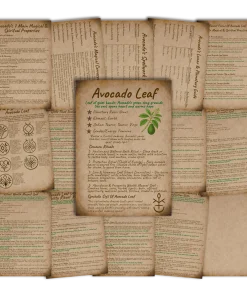Avocado Leaf grimoire Book of Shadows pages displayed in an old-world parchment style, featuring magical properties, rituals, sigils, correspondences, and spell guides.