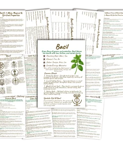 Basil grimoire product image showing a full collection of handwritten Book of Shadows pages on a clean blank background with magical properties, rituals, sigils, and correspondences.