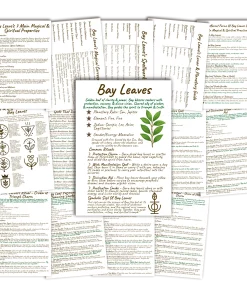 A clean white-background display of the bay leaf grimoire, featuring handwritten Book of Shadows pages with magical properties, correspondences, sigils, rituals, and spellwork guides presented in a clear, modern layout.